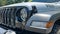 2021 Jeep Wrangler Unlimited Willys 4x4